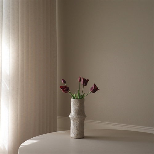 BOTANE PURPLE TRIUMPH TULIPS BUNDLE 5 STEMS